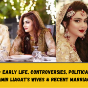 Amir Liaqat's Marriage