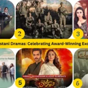 A Golden Era of Pakistani Dramas: Celebrating Award-Winning Excellence (2022-2024)